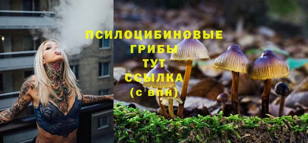 молекула духа Аркадак