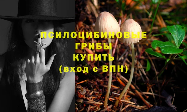 спайс Баксан